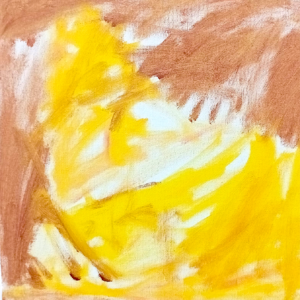 O SILÊNCIO DO UIRAPURU 25 x 25 cm